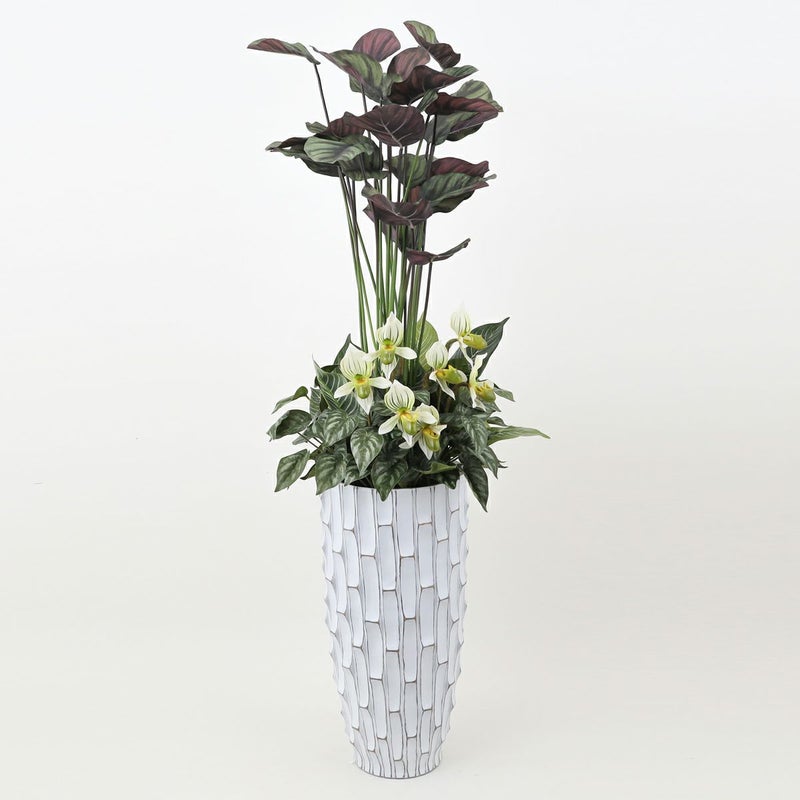 寄せ植え カラテア フェイクグリーン [P-21]