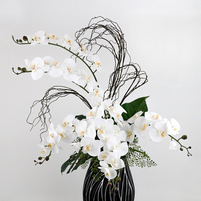 ファレノプシス アレンジメント [79E]