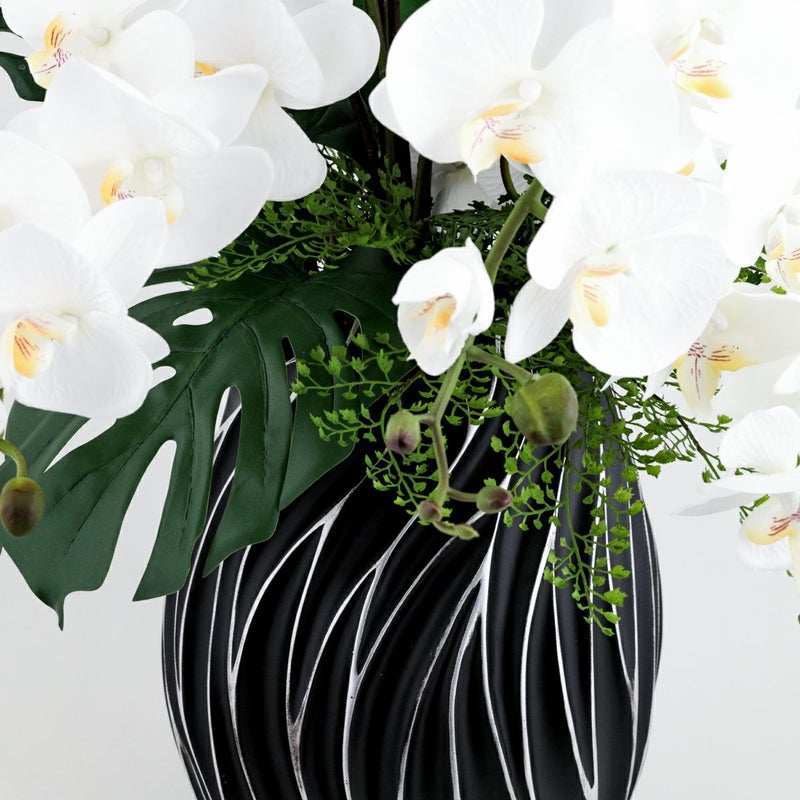 ファレノプシス アレンジメント [79E]