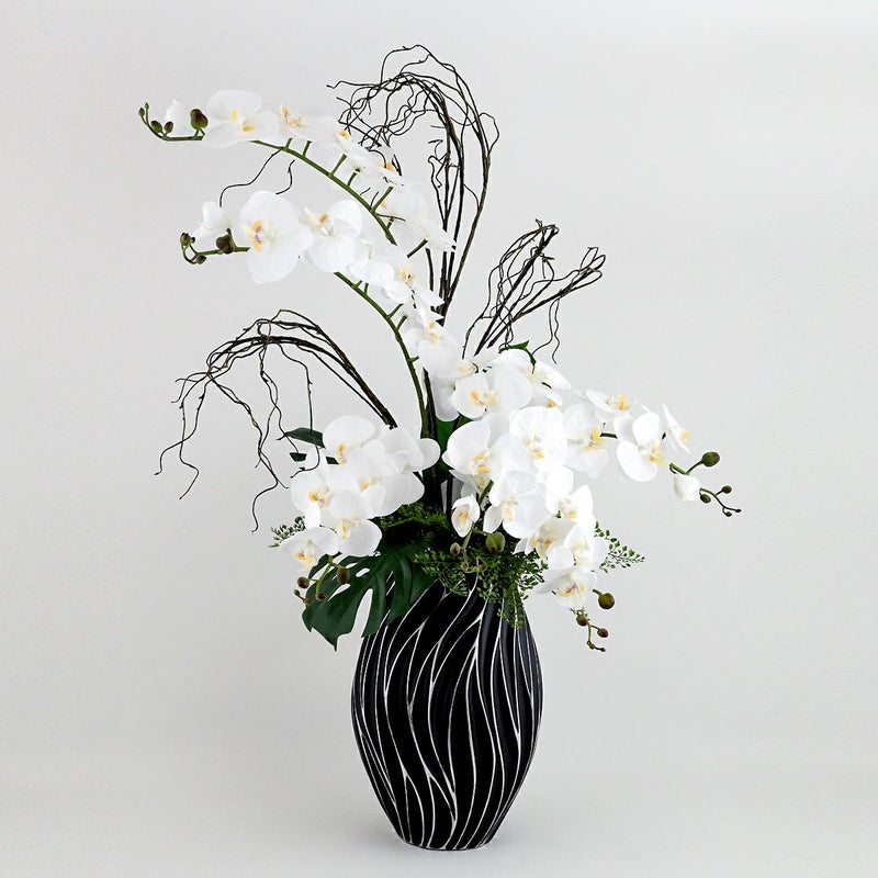 ファレノプシス アレンジメント [79E]