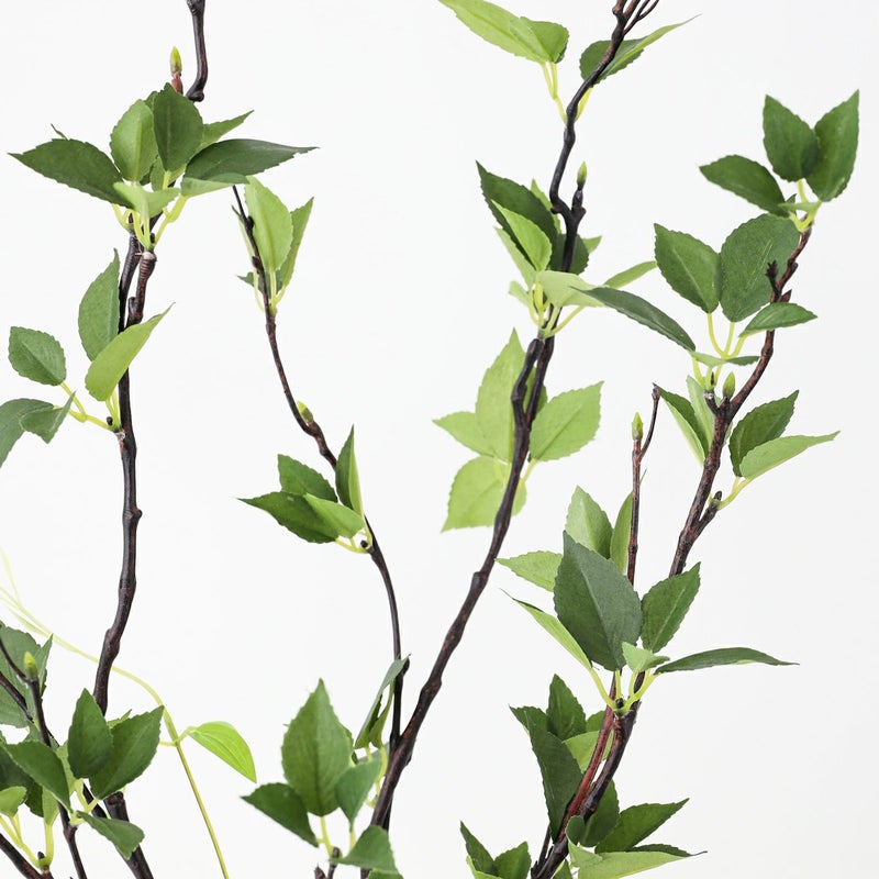 グリーン アレンジメント [141]