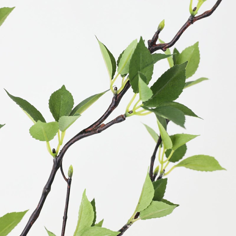 グリーン アレンジメント [142]