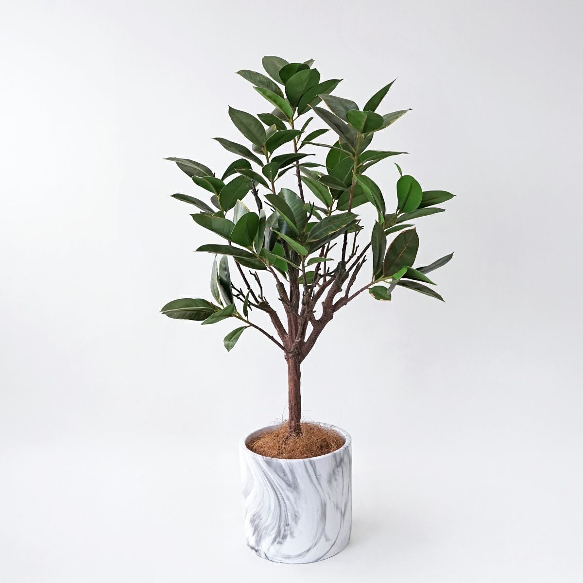 ツイストパキラ フェイクグリーン [78] 高さ103cm 観葉植物 エコ