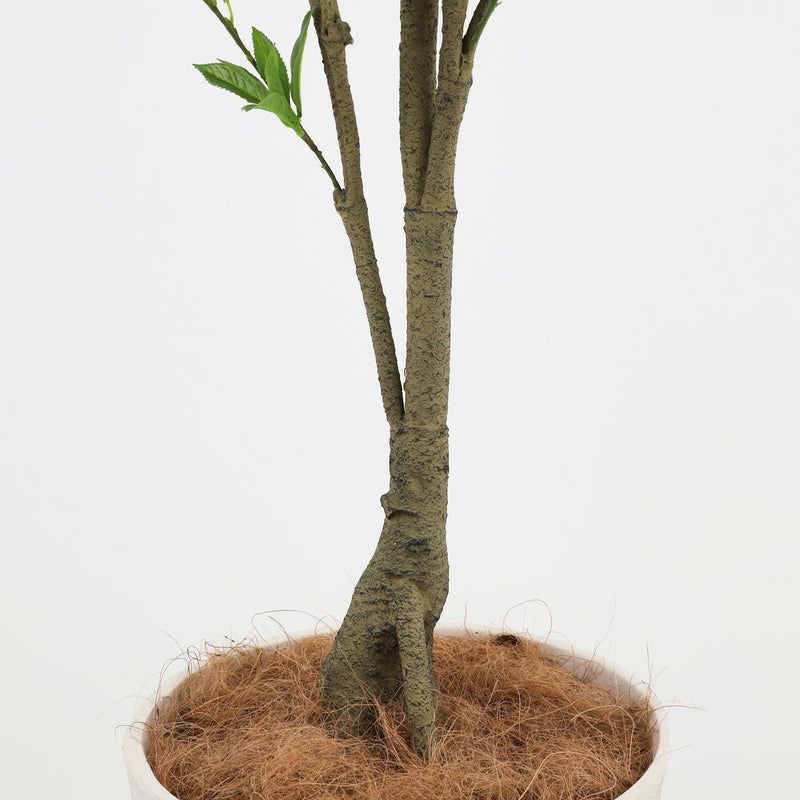 アセビ フェイクグリーン [118]