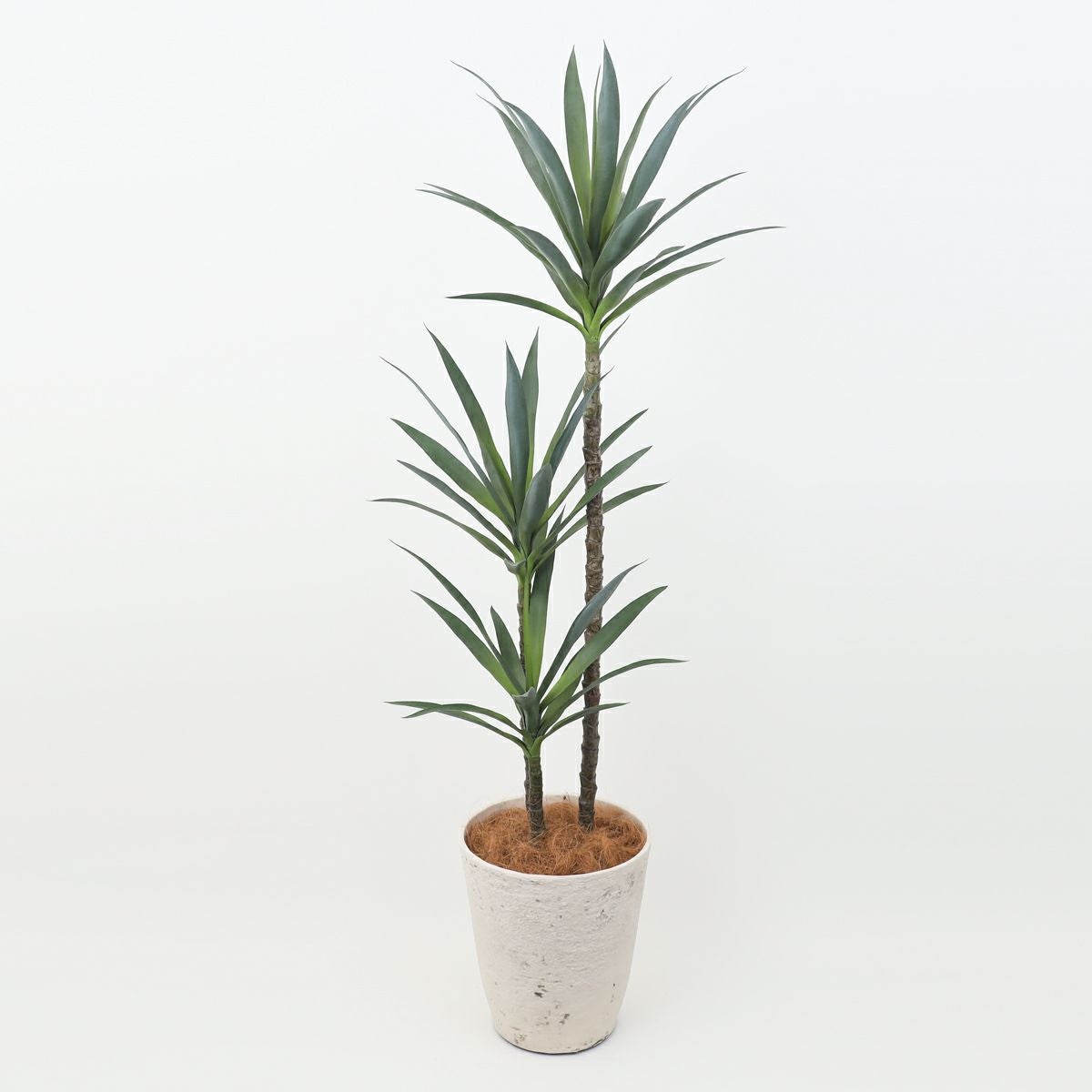 ユッカ フェイクグリーン [115] BA 高さ170cm 観葉植物 開店祝い 大型