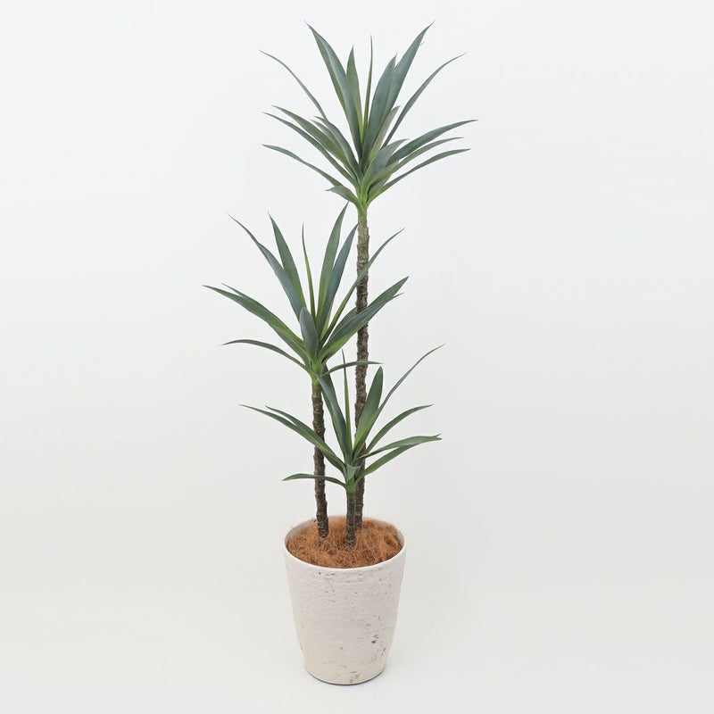 ユッカ フェイクグリーン [115]