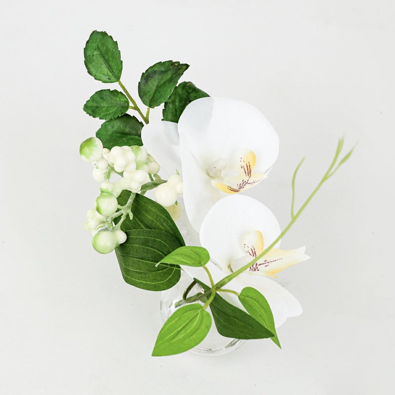 胡蝶蘭 マジックウォーター アレンジメント [01]