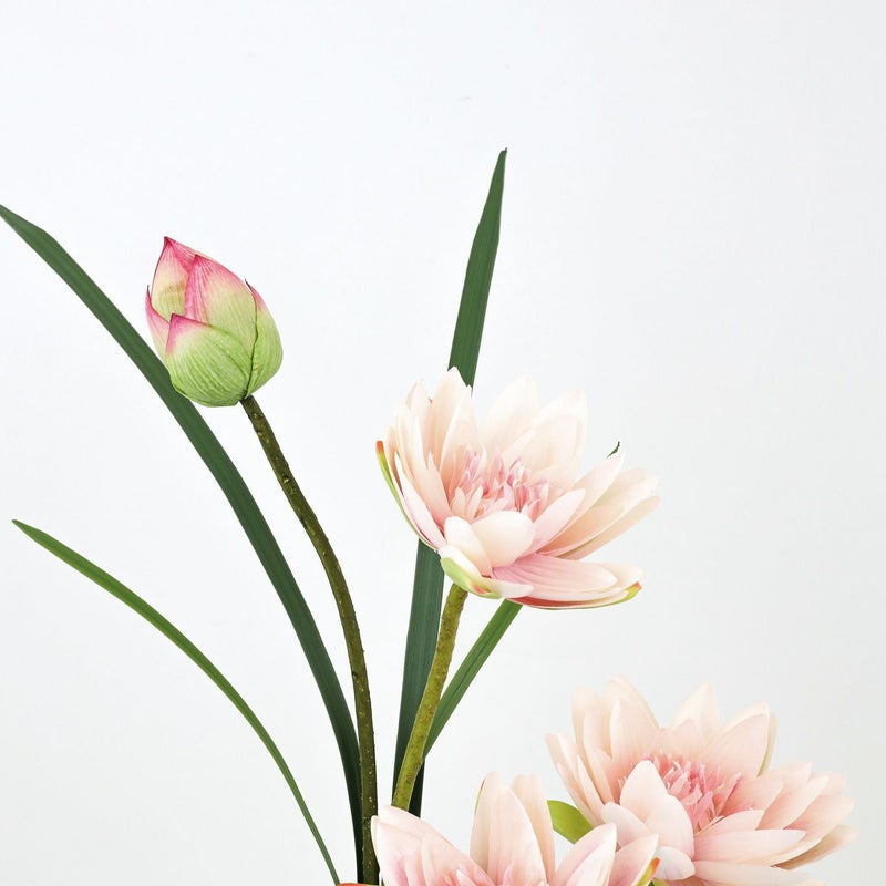 ロータス マジックウォーター アレンジメント [05]