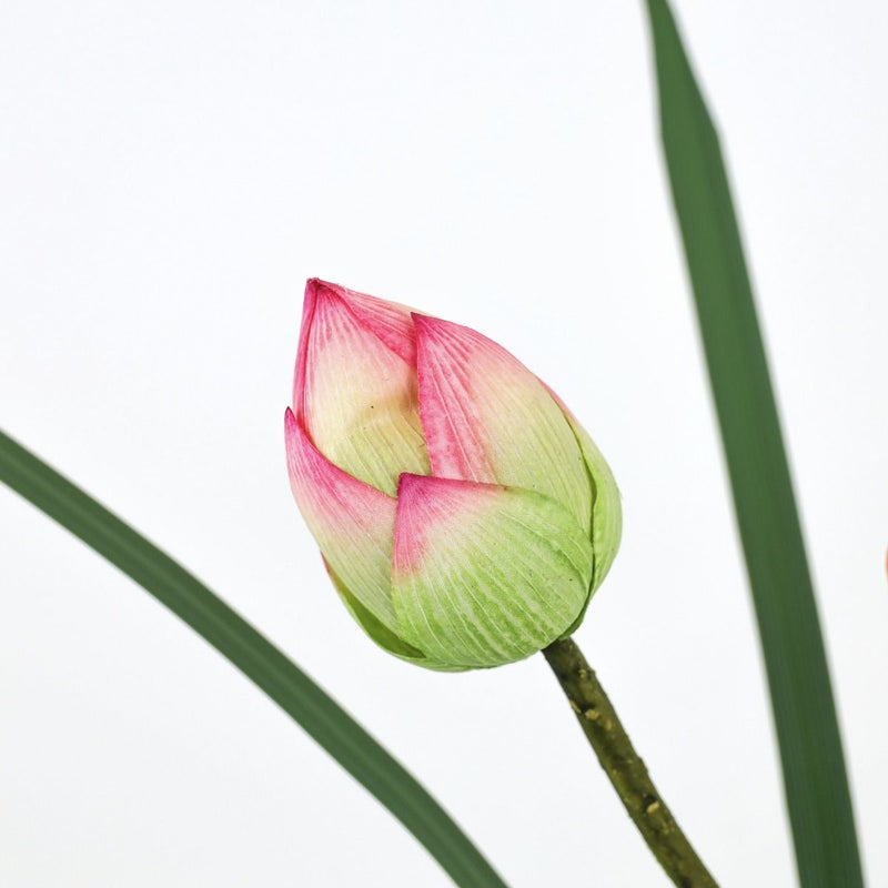 ロータス マジックウォーター アレンジメント [05]