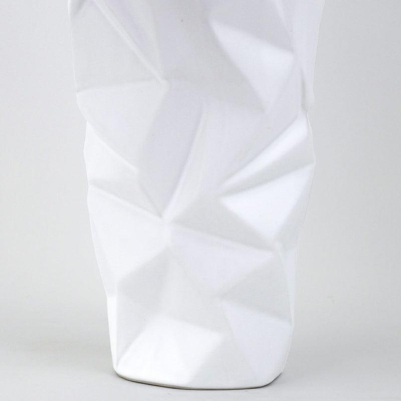 胡蝶蘭 2本立 はくらん[09]