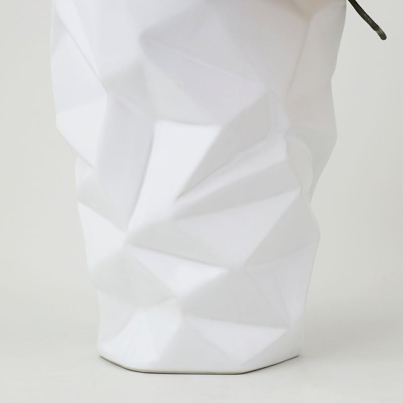 胡蝶蘭 3本立 はくらん[13]