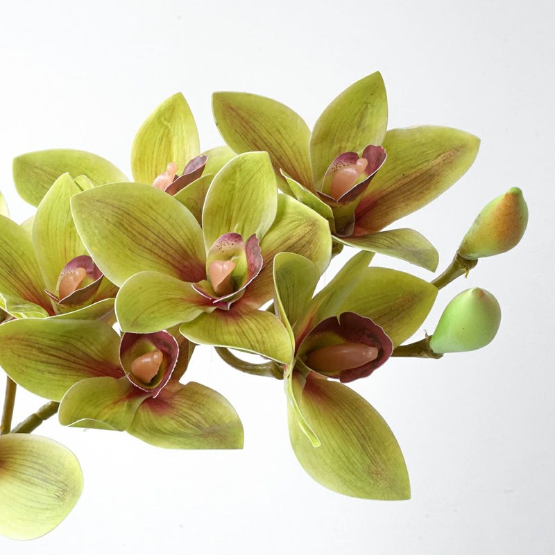 シンビジューム アレンジメント [10]