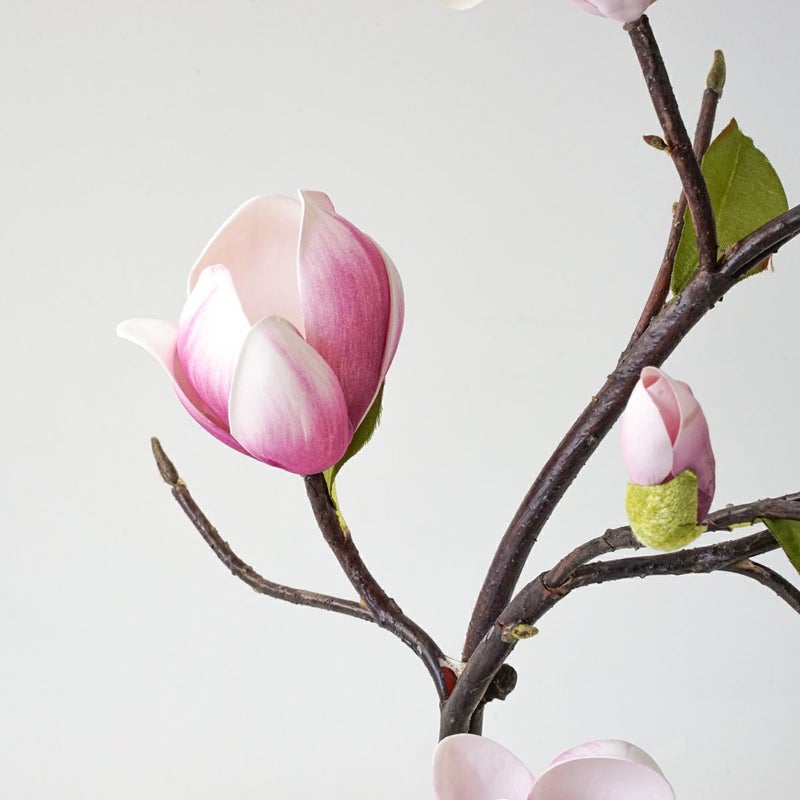 マグノリア アレンジメント [77]