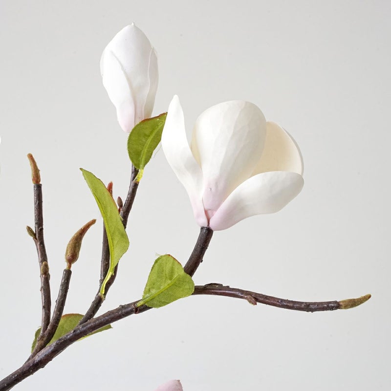 マグノリア アレンジメント [77]