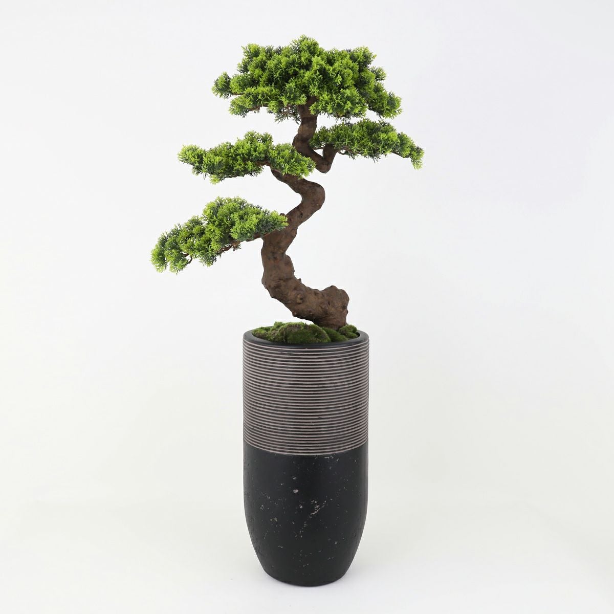 【盆景美】 盆栽 フェイクグリーン [02]