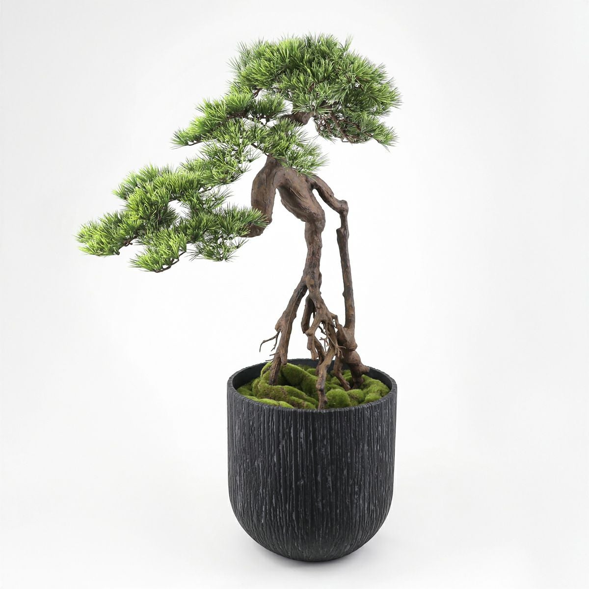 フェイク盆栽 80cmサイズ(新品未開封) 楽天市場】横幅63cm/80cm/85cm【アート フェイク盆栽】松 人工盆栽