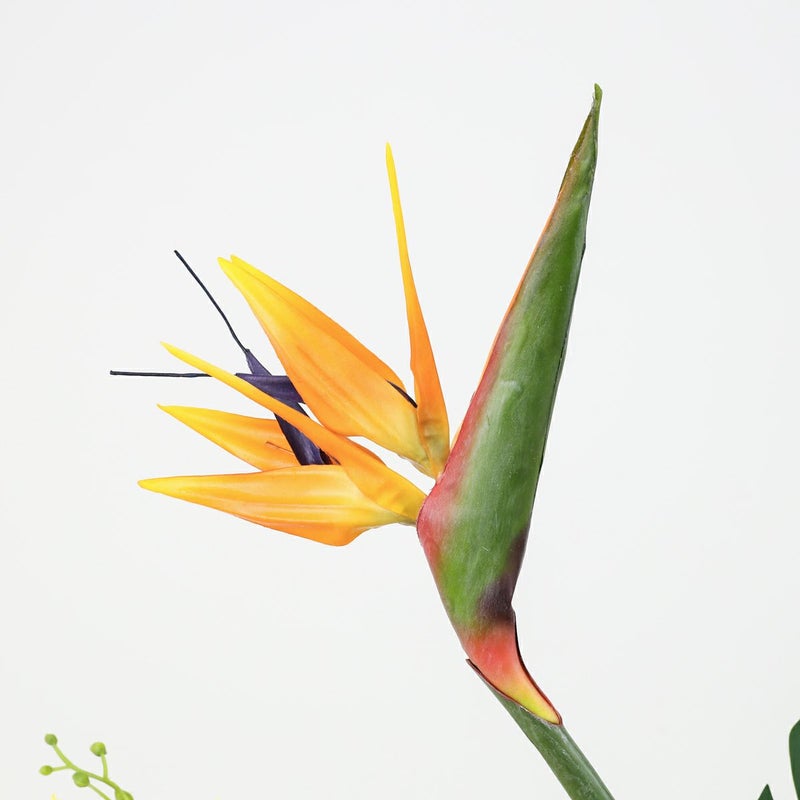 ストレリチア アレンジメント [AT-119]