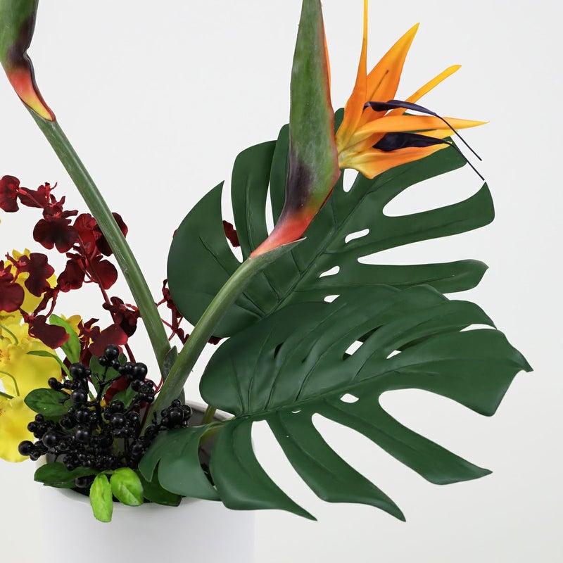 ストレリチア アレンジメント [AT-119]