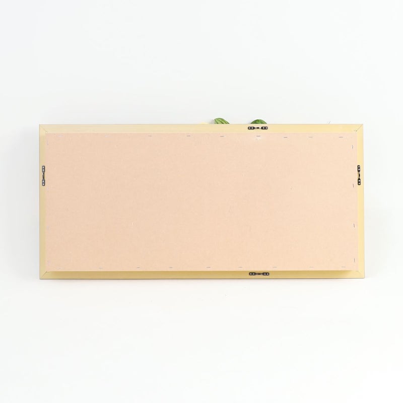 胡蝶蘭 はくらん フレーム [23]