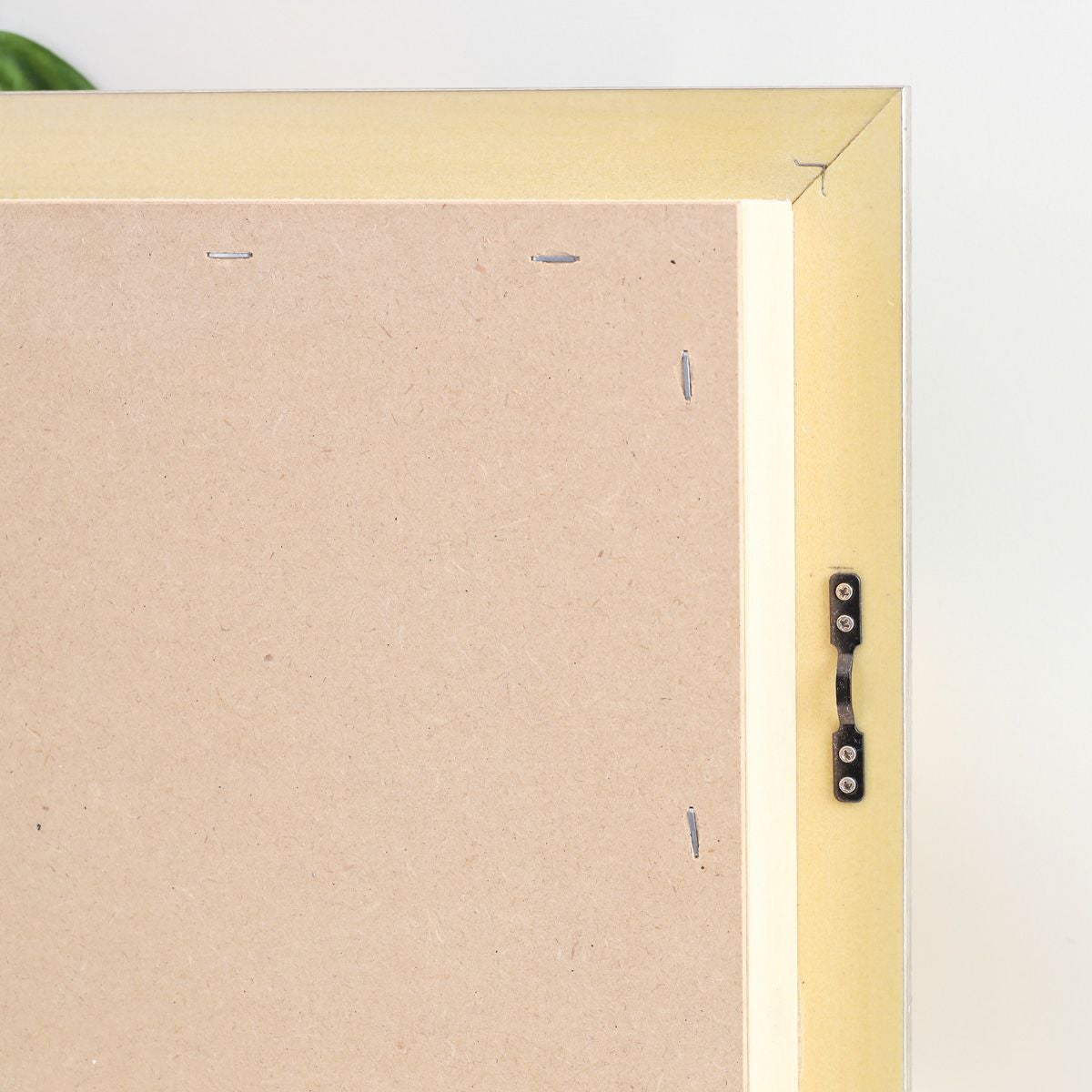 胡蝶蘭 はくらん フレーム [23]