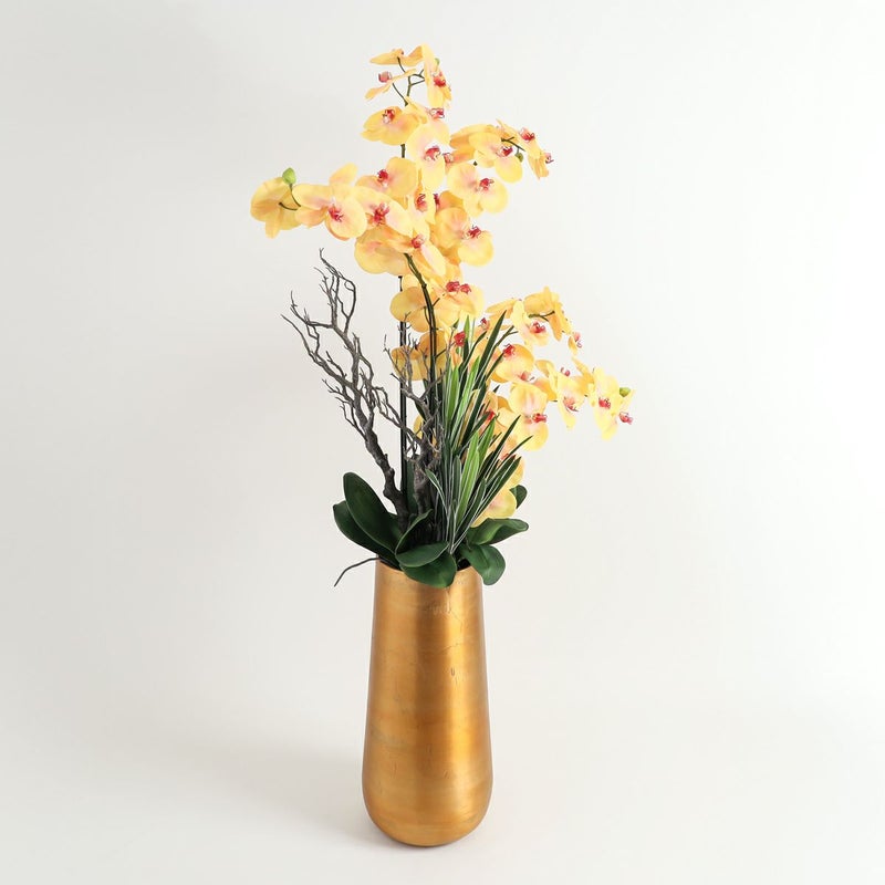 胡蝶蘭 はくらん[P-02]