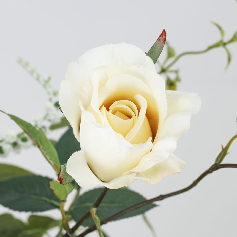 ホワイトローズ アレンジメント [57]