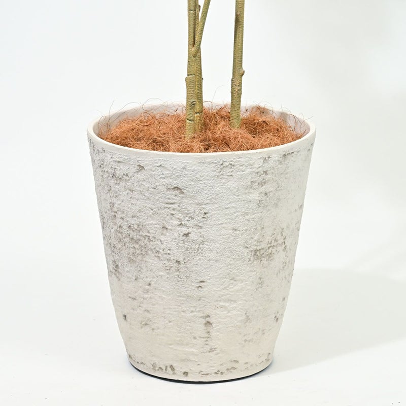 トネリコ フェイクグリーン [121]