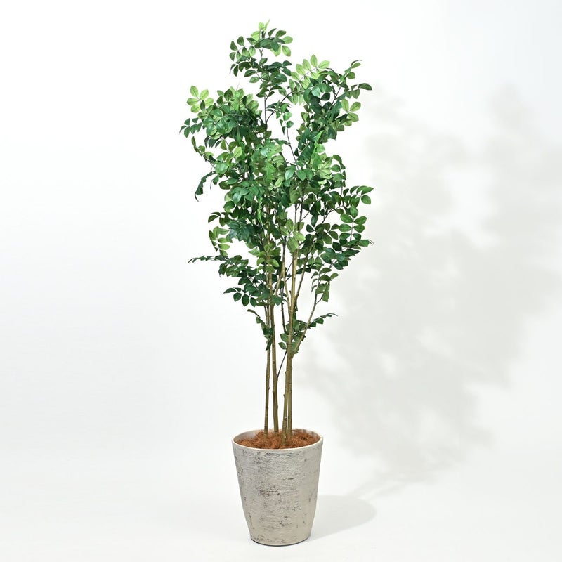 トネリコ フェイクグリーン [121]