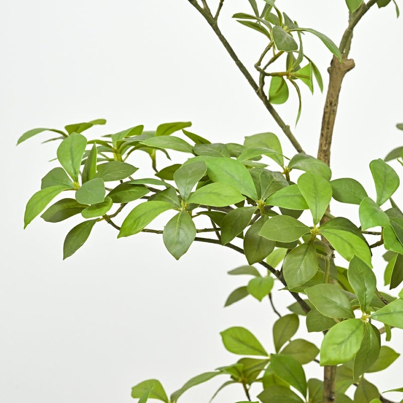 アーモンドツリー フェイクグリーン [122]