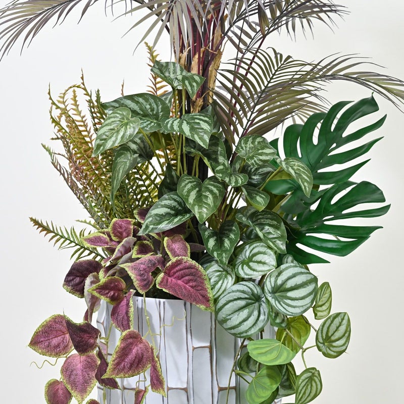 アロアカシア フェイクグリーン 寄せ植えアレンジ [P-23]