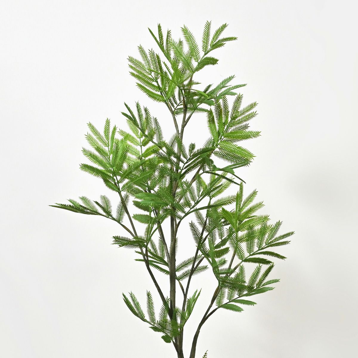 50%OFF】《ワンランク上のご贈答に》 エバーフレッシュ フェイク