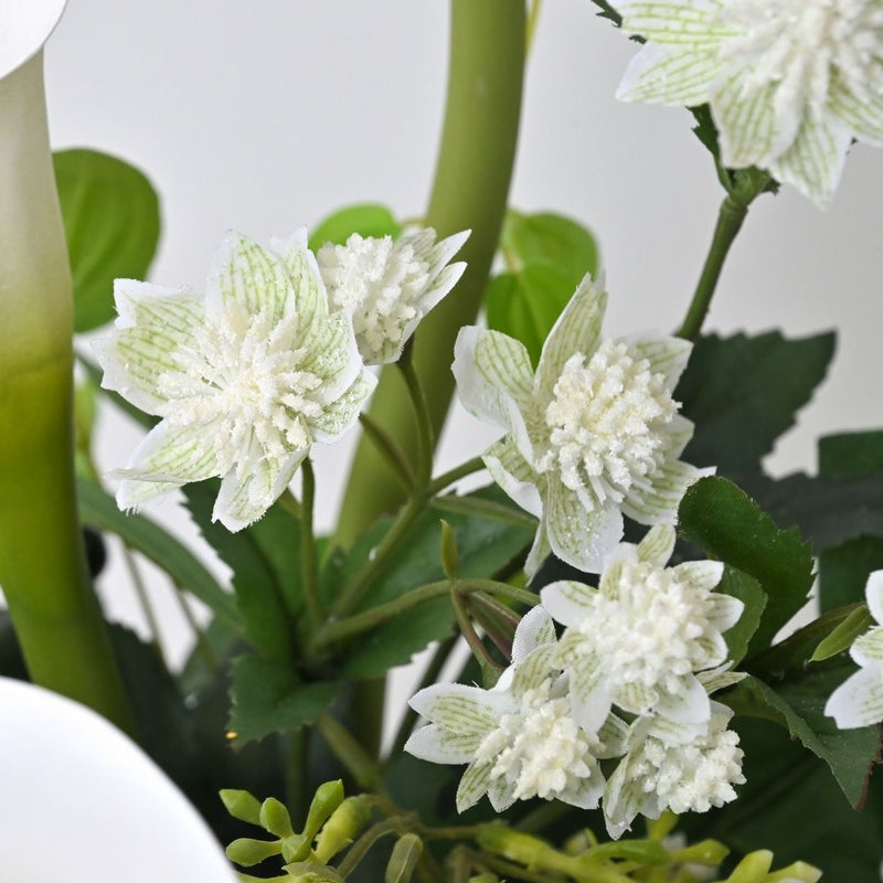 カラーリリー アレンジメント [51]