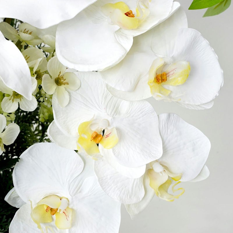 《オンライン限定》お供え カサブランカリリーアレンジ[WEB348B]