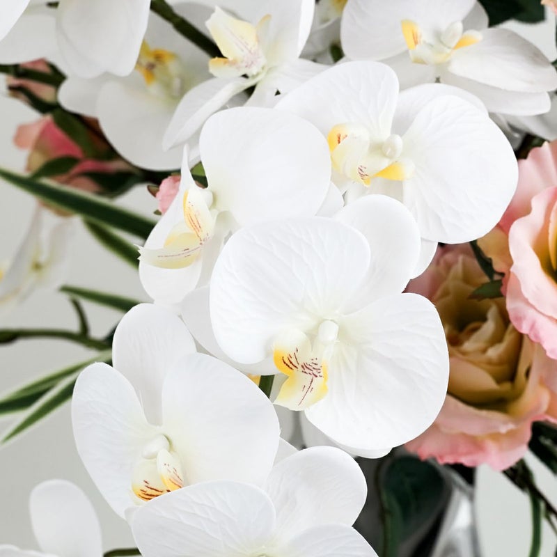 【特別価格】胡蝶蘭 ローズ アレンジメント [WEB491] 