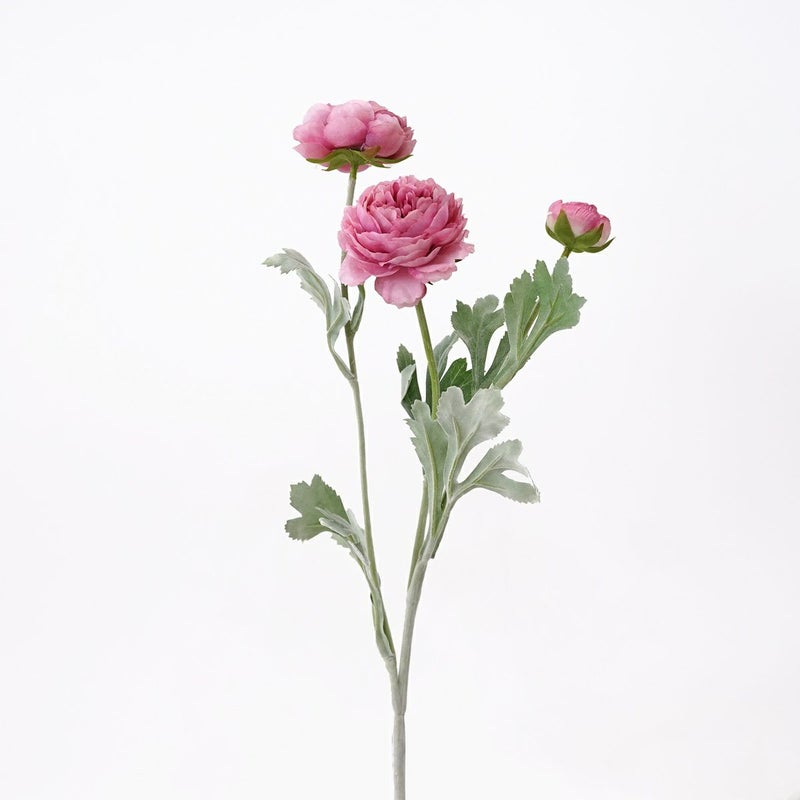 ラナンキュラス 全5色