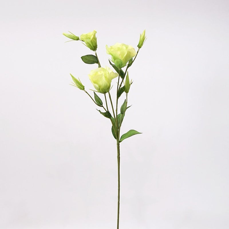 リシアンサス 全4色 H77cm 単品花材