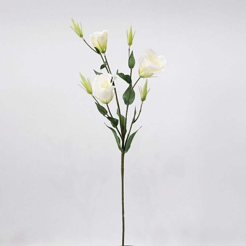リシアンサス 全4色 H77cm 単品花材