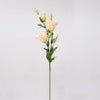 リシアンサス 全4色 H77cm 単品花材