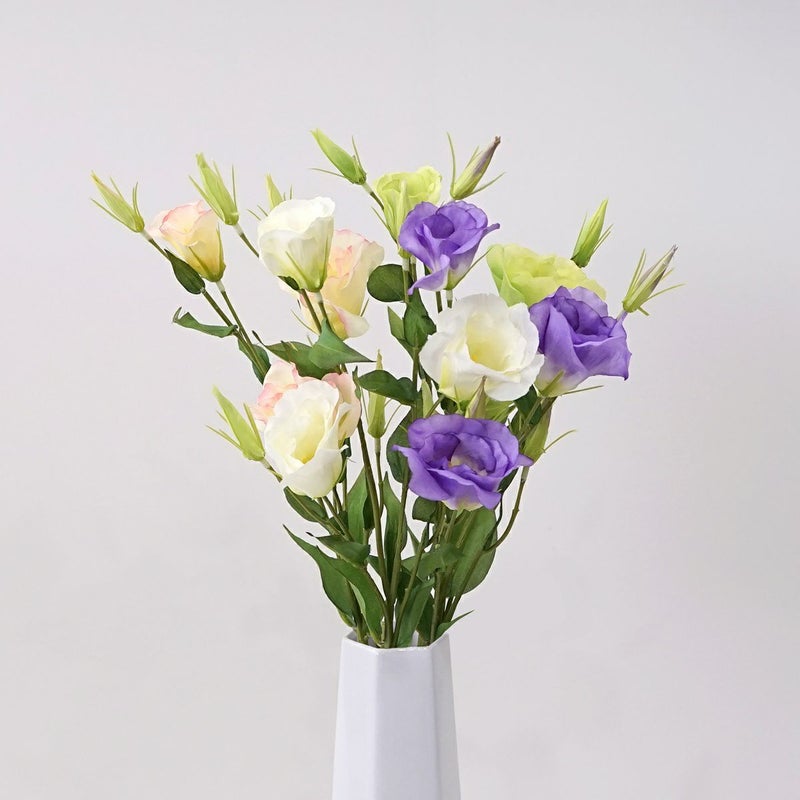 リシアンサス 全4色 H77cm 単品花材