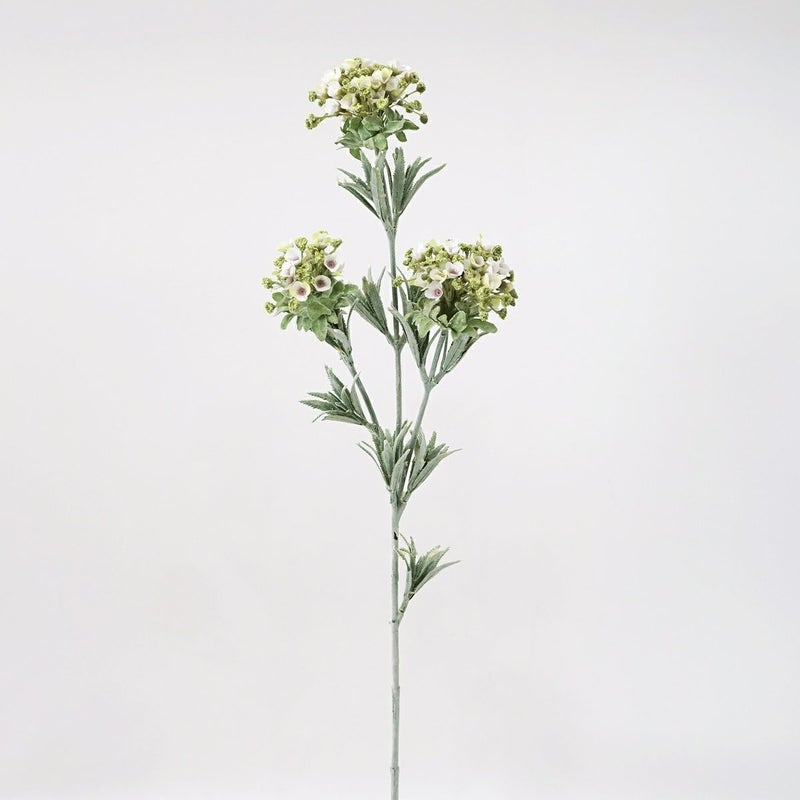 ワックスフラワー 全1色 H78cm 単品花材