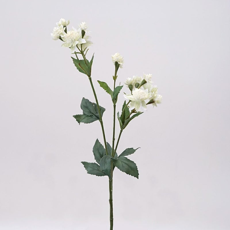 アストランティア 全3色 H50cm 単品花材