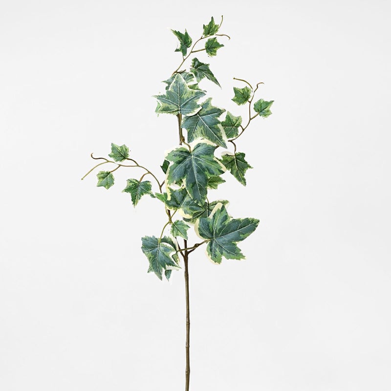 アイビー 全2色 H77cm 単品花材