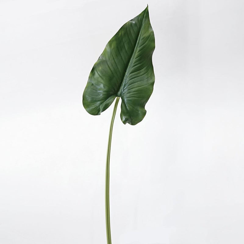 カラーリリーリーフL 全1色 H104cm 単品花材