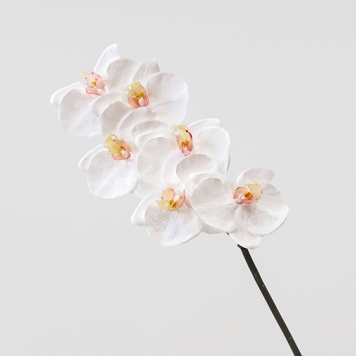 胡蝶蘭 6輪付き 全1色 H77cm 単品花材 造花 アーティフィシャル