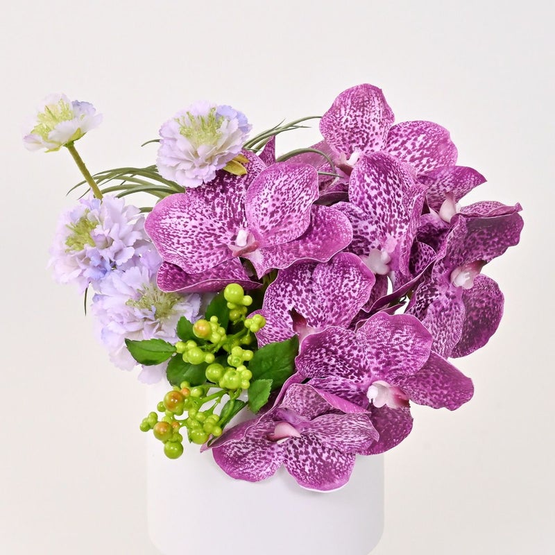 バンダオーキッド アレンジメント [07]