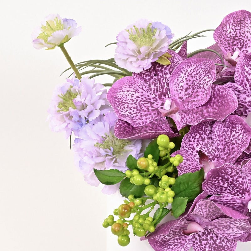 バンダオーキッド アレンジメント [07]