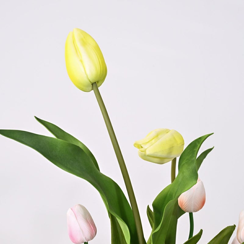 チューリップ アレンジメント [SP-167]