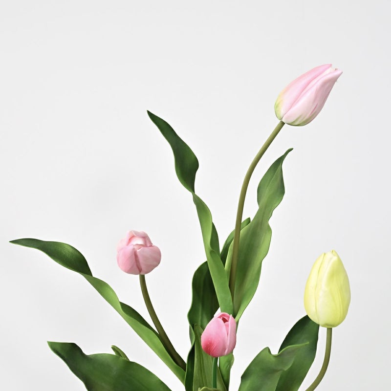 チューリップ アレンジメント [SP-168]