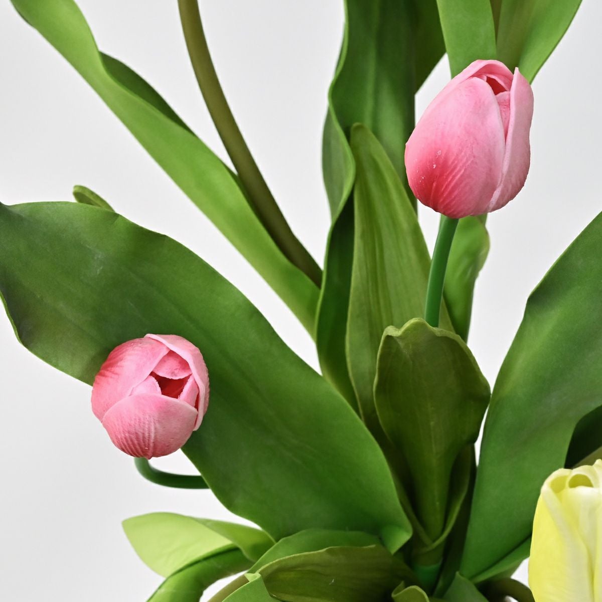 チューリップ アレンジメント [SP-168]