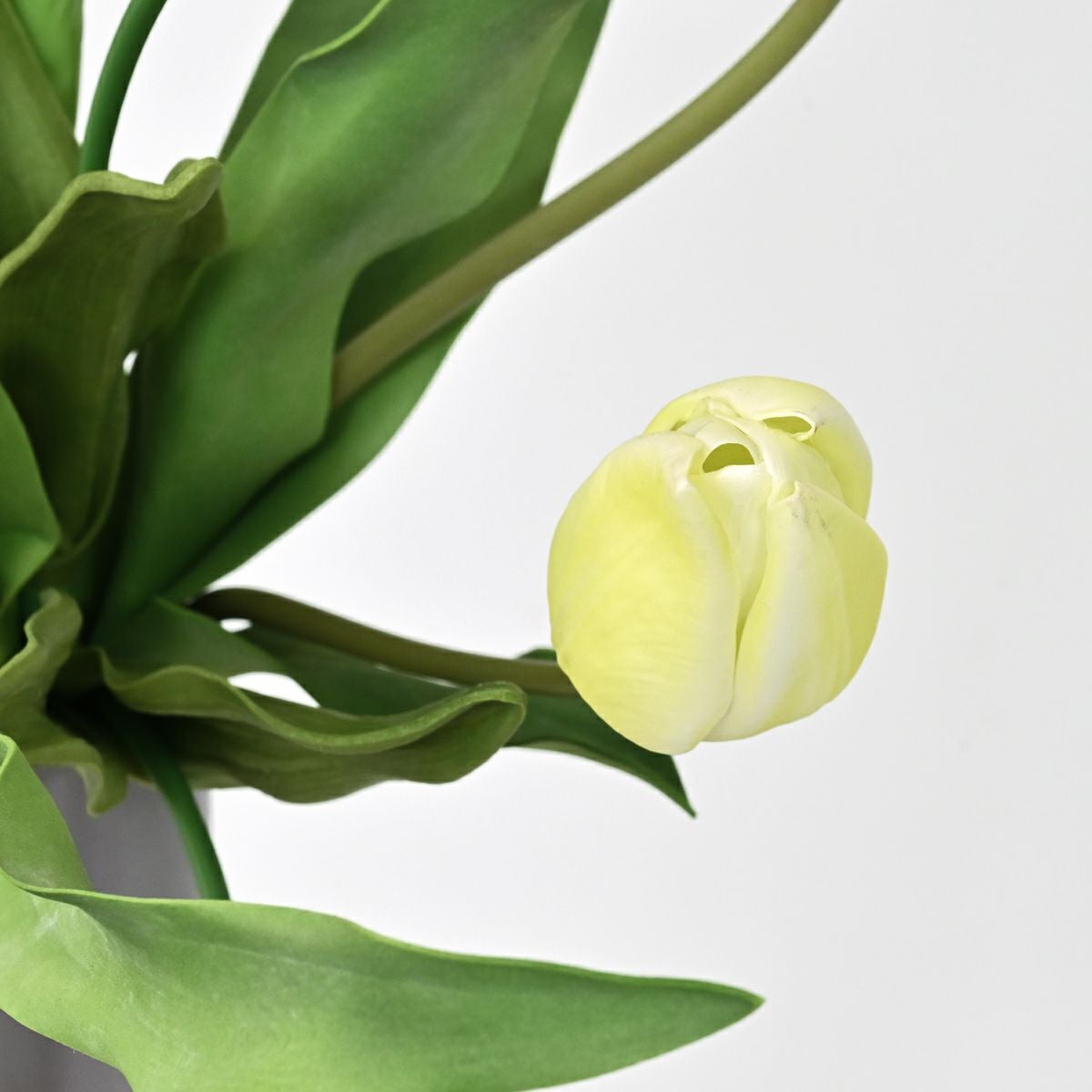 チューリップ アレンジメント [SP-168]